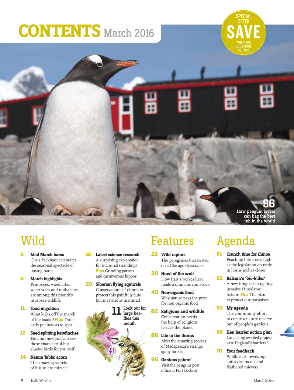 BBC Wildlife Magazine Preview Pages
