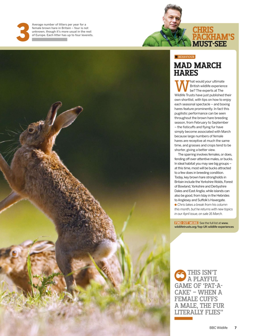 BBC Wildlife Magazine Preview Pages