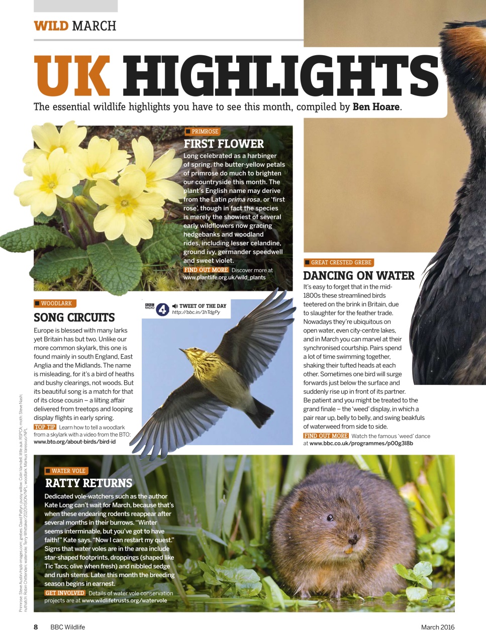 BBC Wildlife Magazine Preview Pages