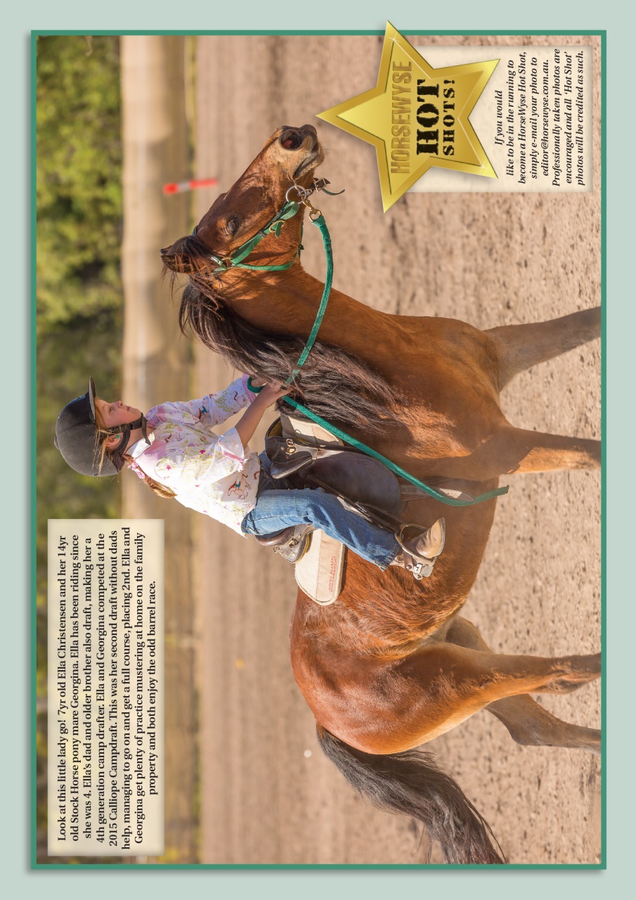 HorseWyse Magazine Preview Pages