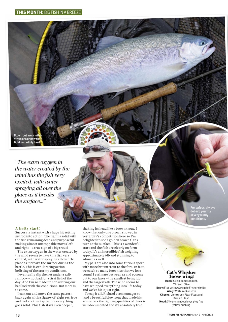 Trout Fisherman Preview Pages