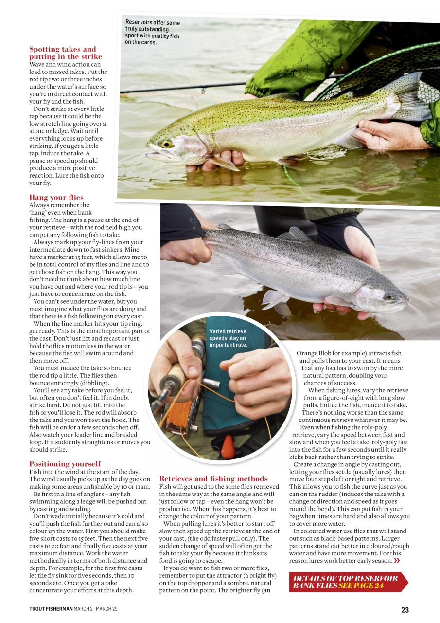 Trout Fisherman Preview Pages