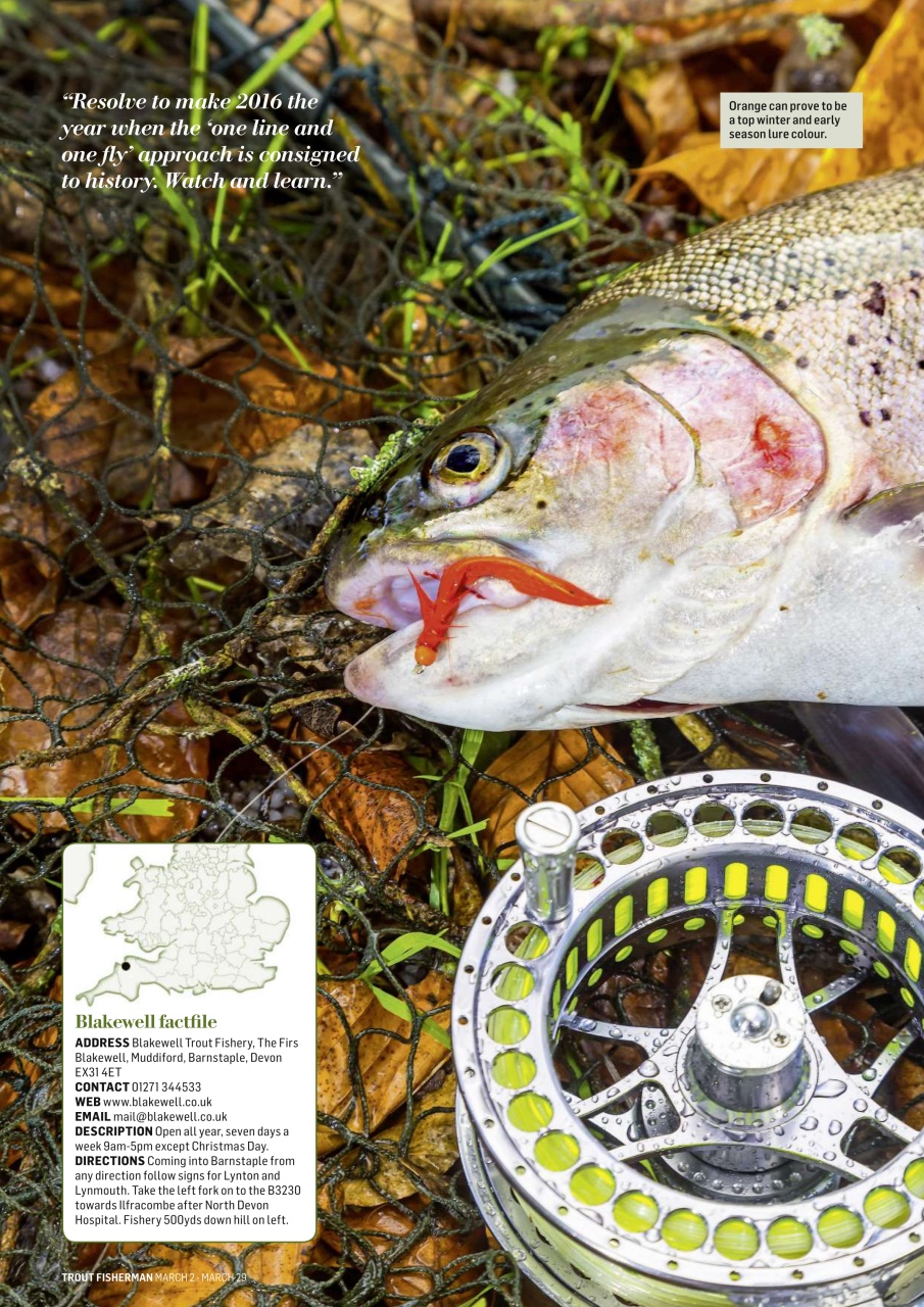 Trout Fisherman Preview Pages