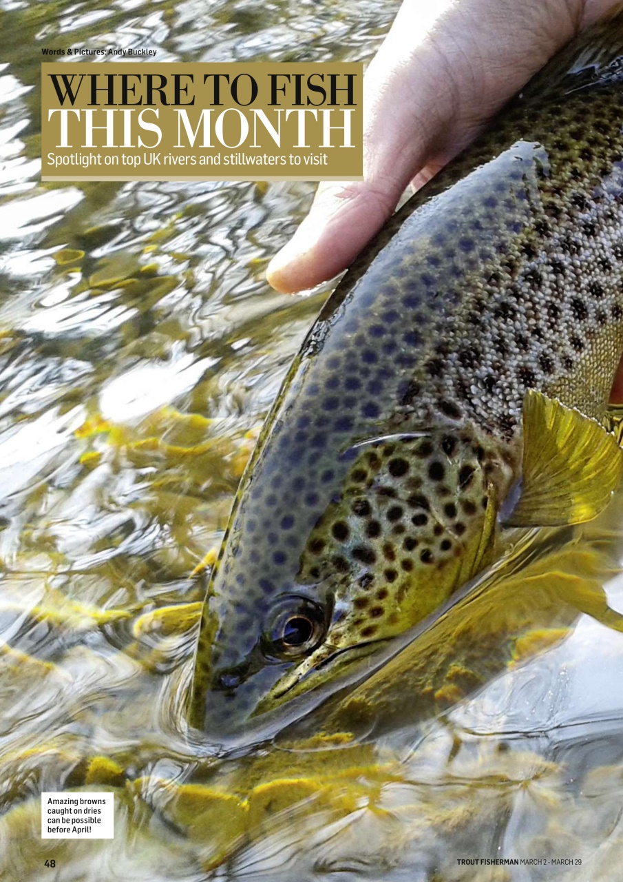Trout Fisherman Preview Pages