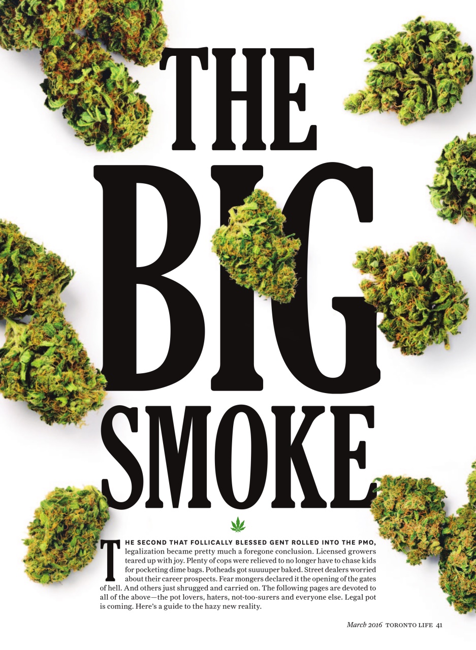 Toronto Life Preview Pages