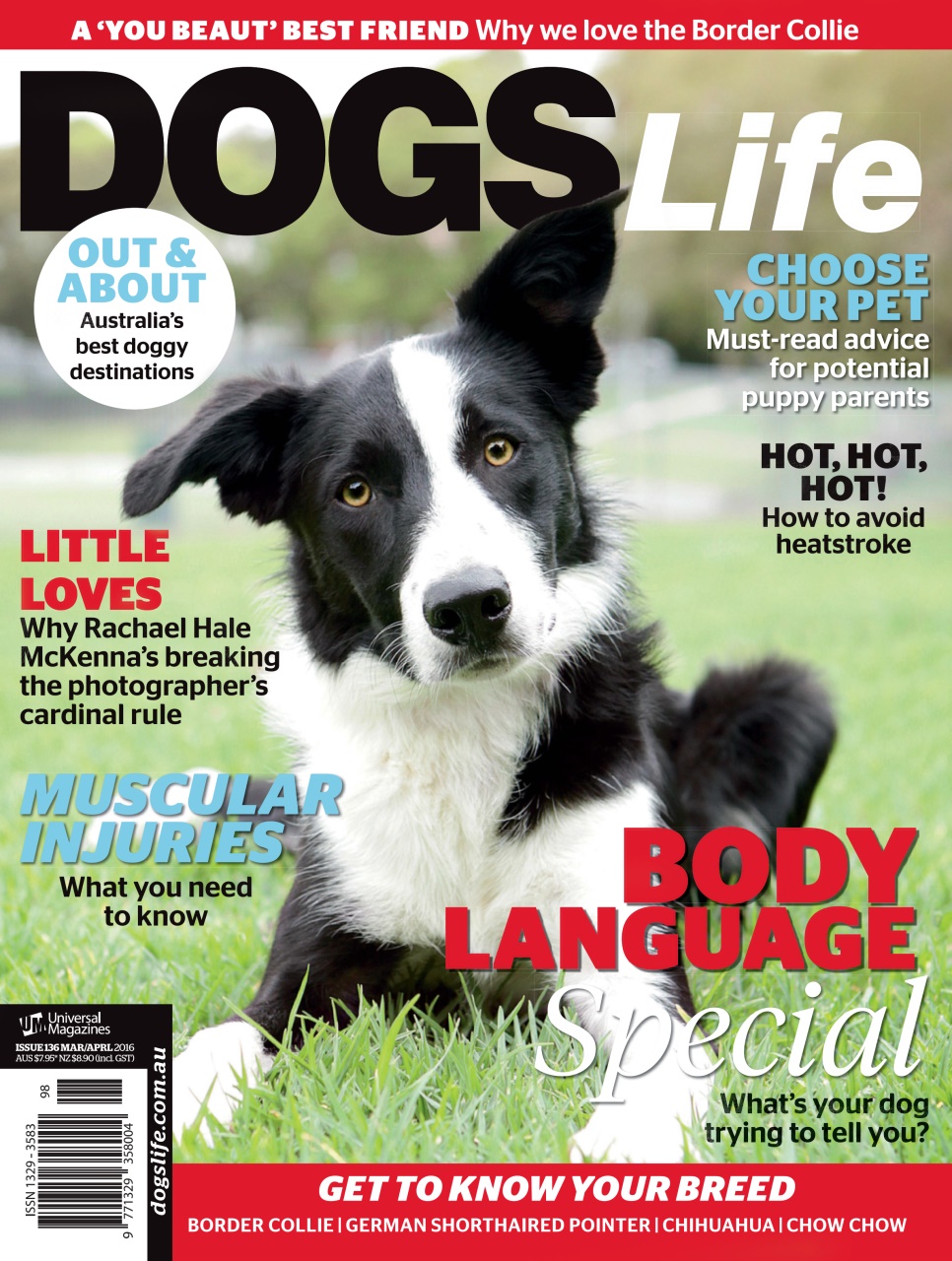 Dogs Life Preview Pages