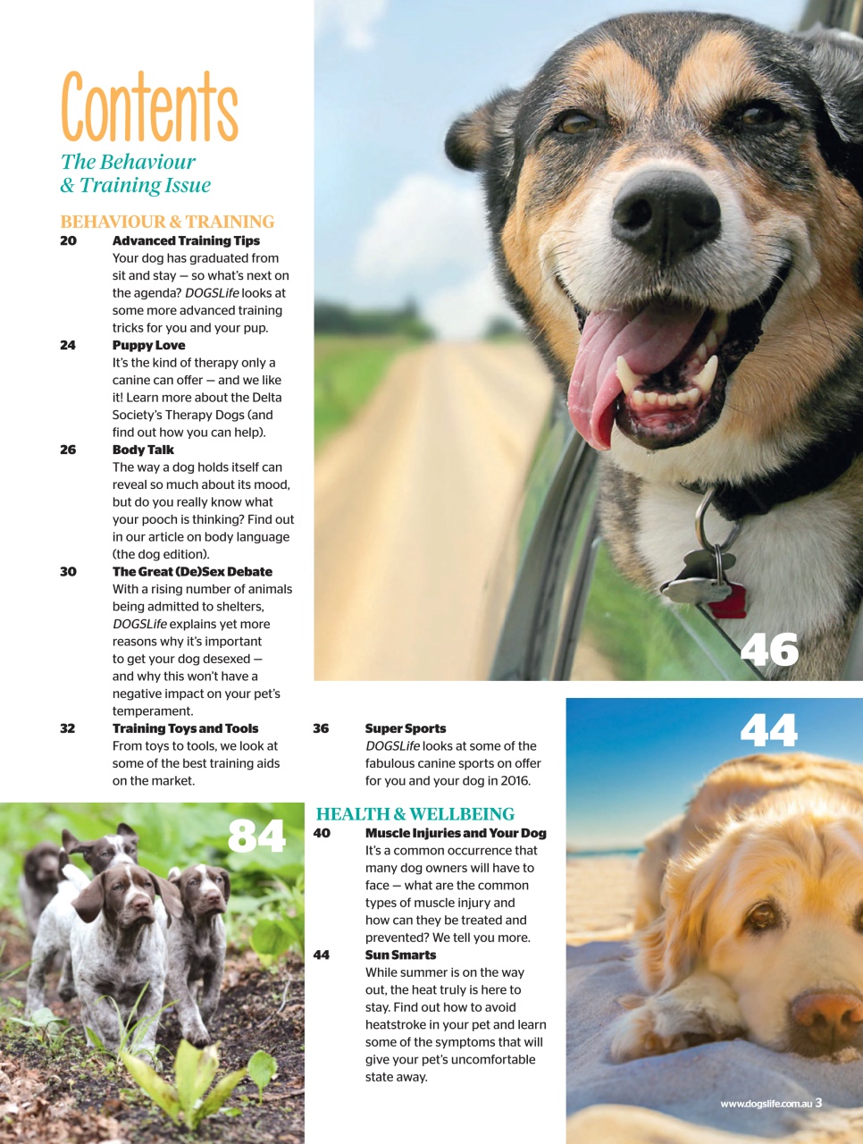 Dogs Life Preview Pages
