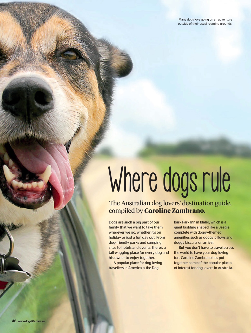 Dogs Life Preview Pages