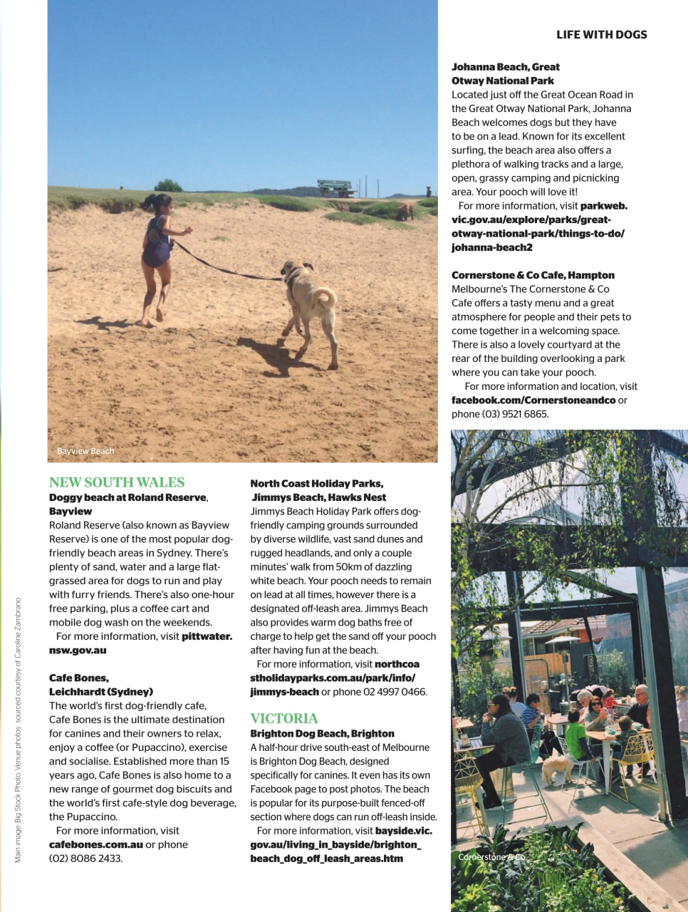 Dogs Life Preview Pages