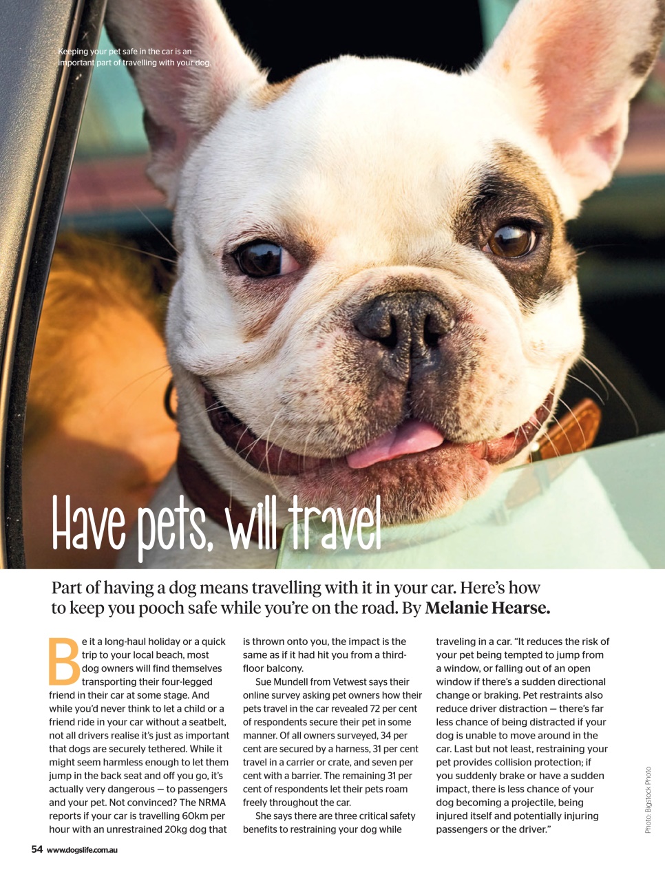 Dogs Life Preview Pages