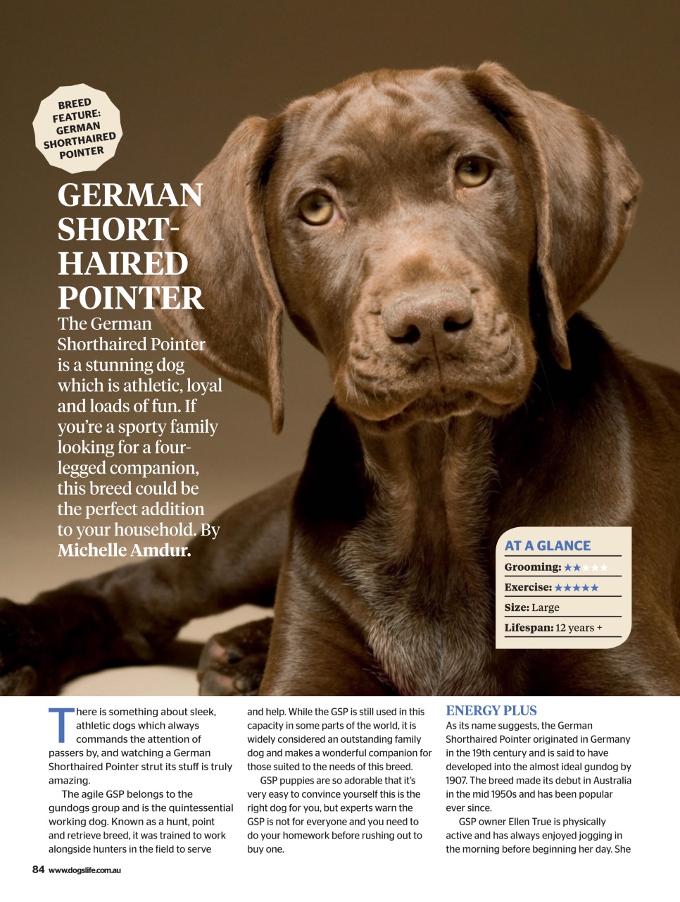 Dogs Life Preview Pages