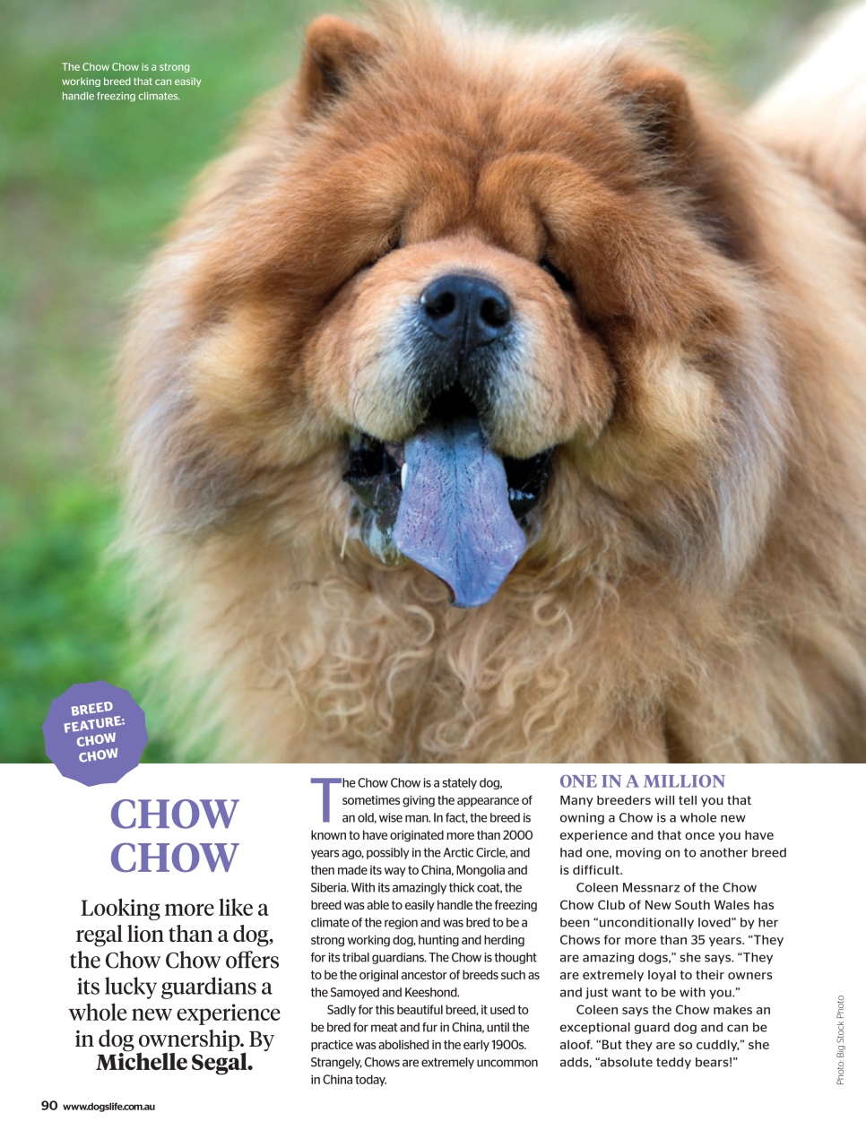 Dogs Life Preview Pages