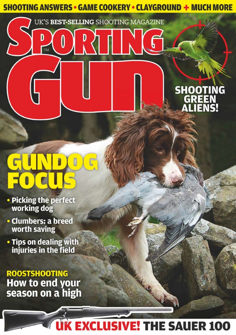 Sporting Gun Preview Pages