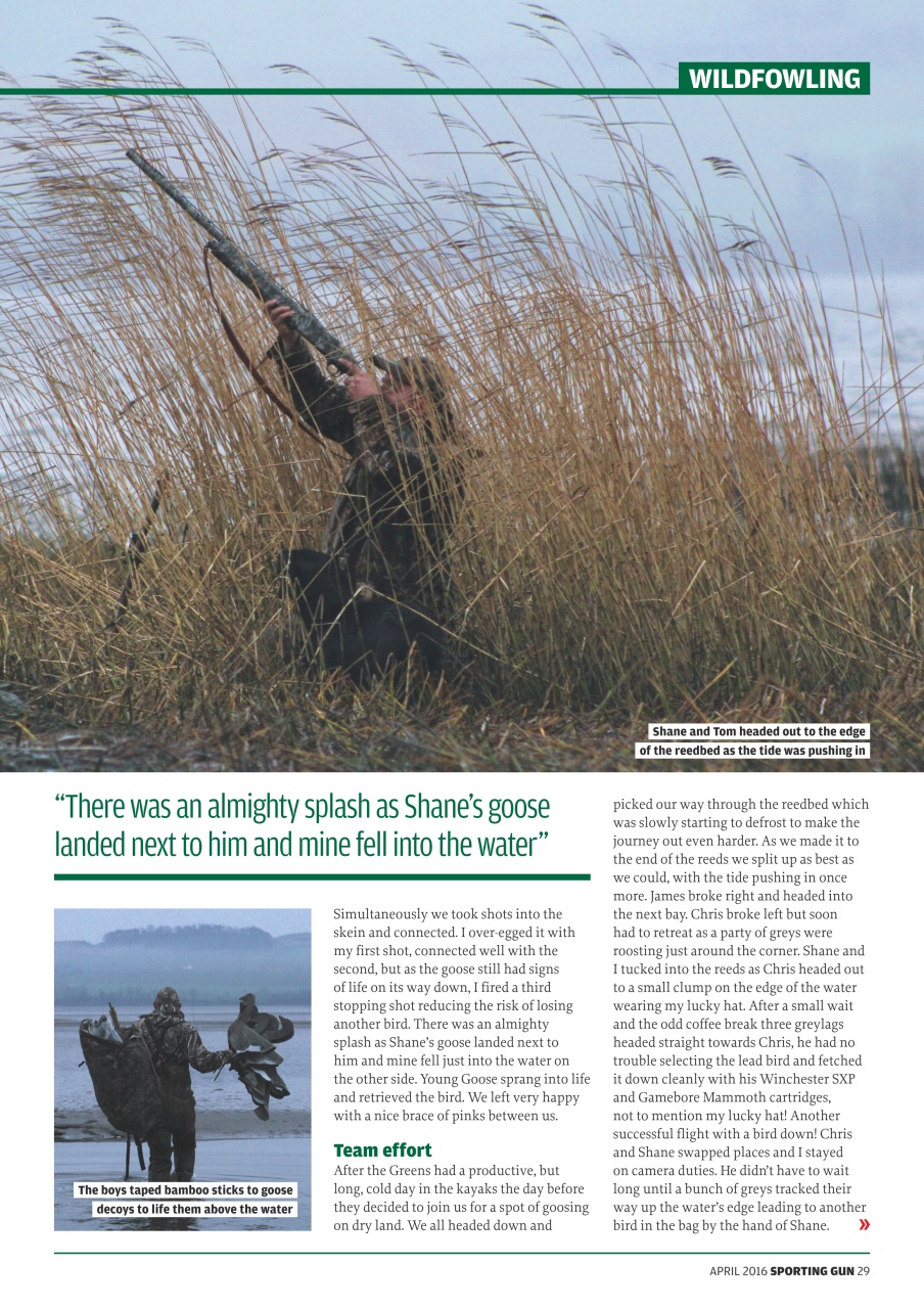 Sporting Gun Preview Pages