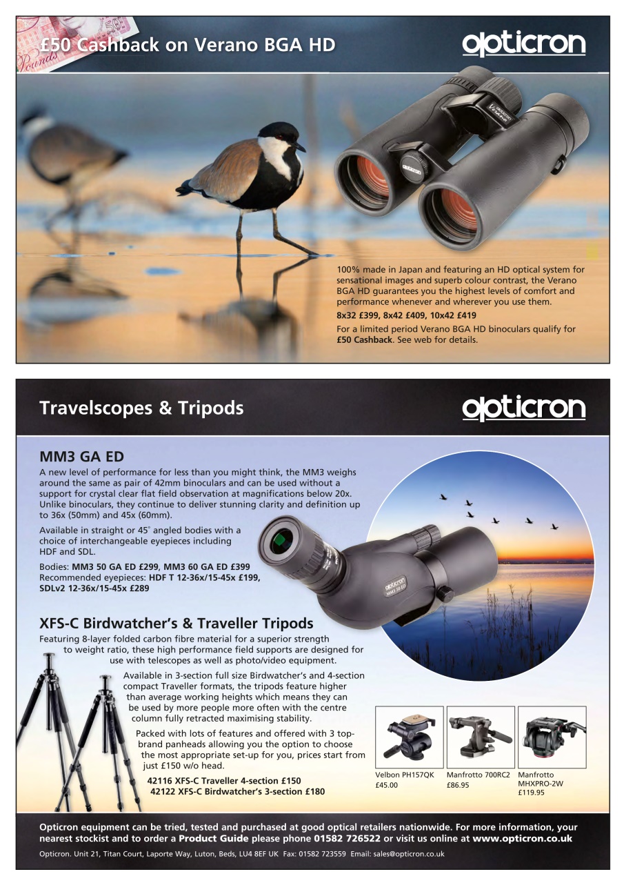 Birdwatch Magazine Preview Pages