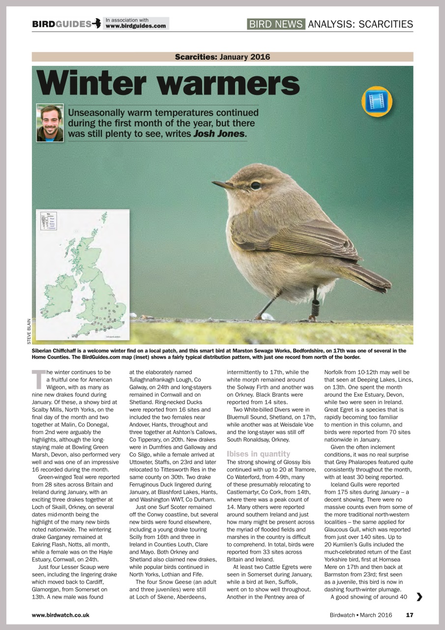 Birdwatch Magazine Preview Pages