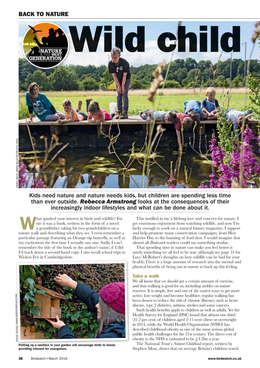Birdwatch Magazine Preview Pages