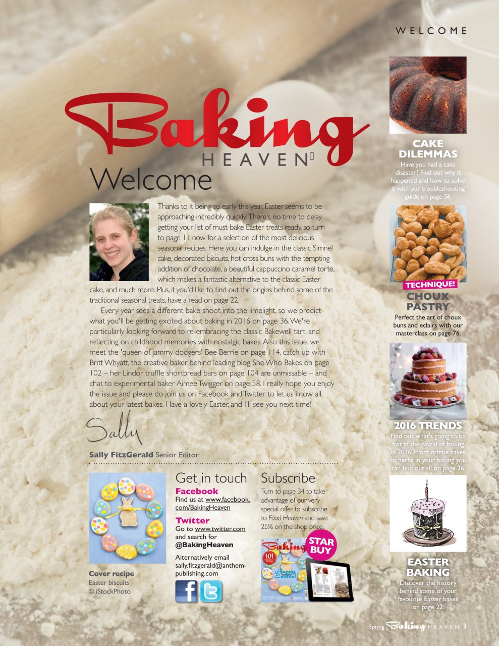 Bake & Decorate Preview Pages