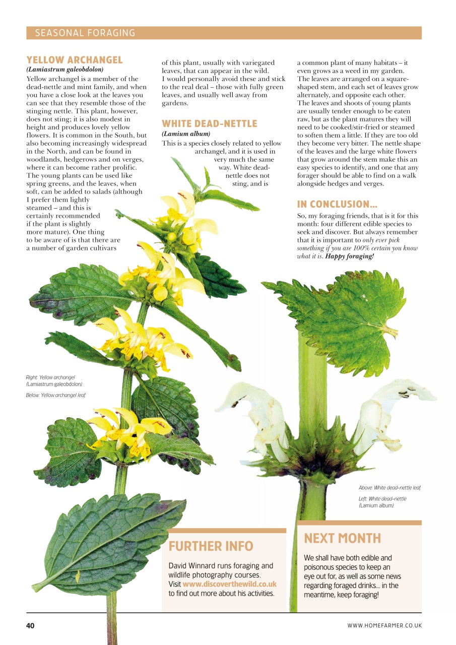 Home Farmer Magazine Preview Pages