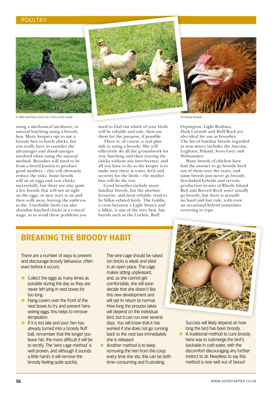 Home Farmer Magazine Preview Pages