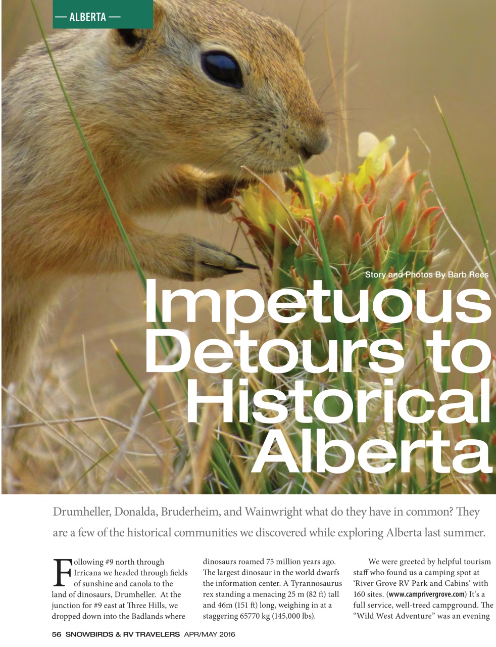 Snowbirds & RV Travelers Preview Pages