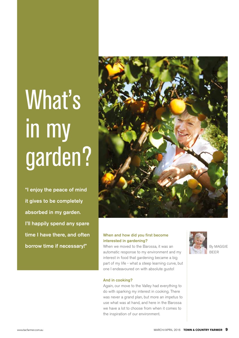 Town And Country Farmer Preview Pages