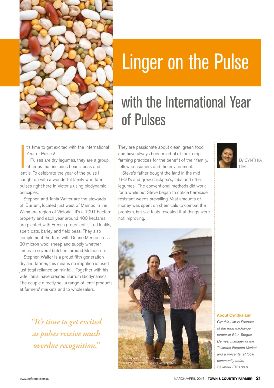 Town And Country Farmer Preview Pages