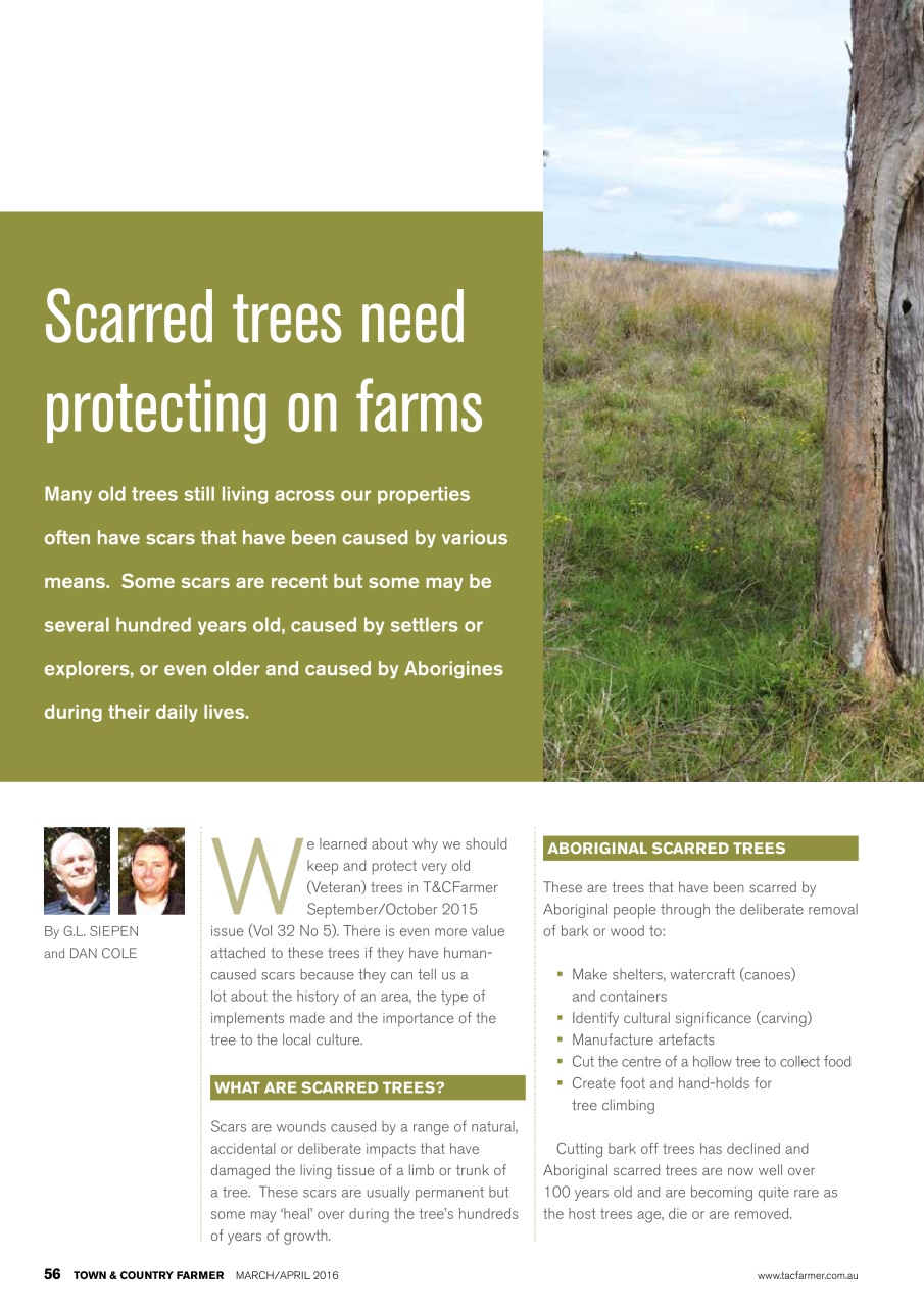 Town And Country Farmer Preview Pages