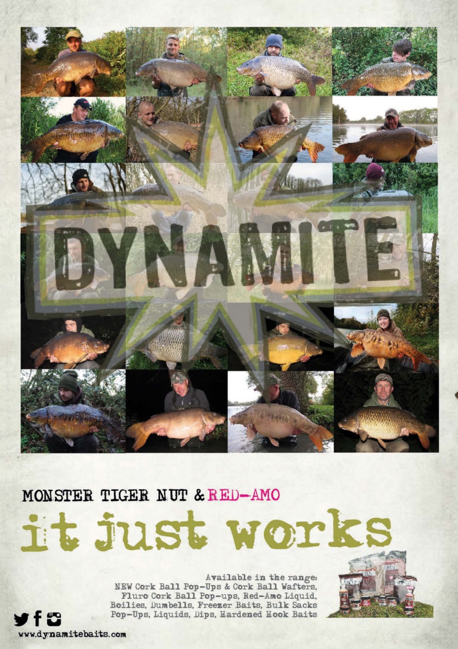 Carpworld Preview Pages