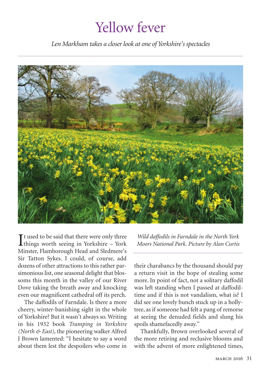The Yorkshire Dalesman Preview Pages