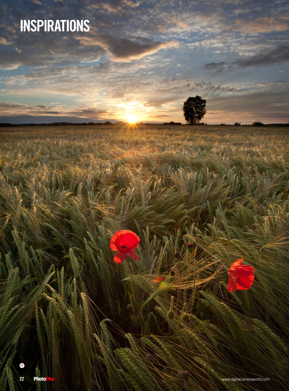 PhotoPlus Preview Pages