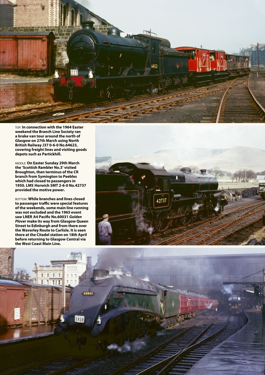 Backtrack Preview Pages