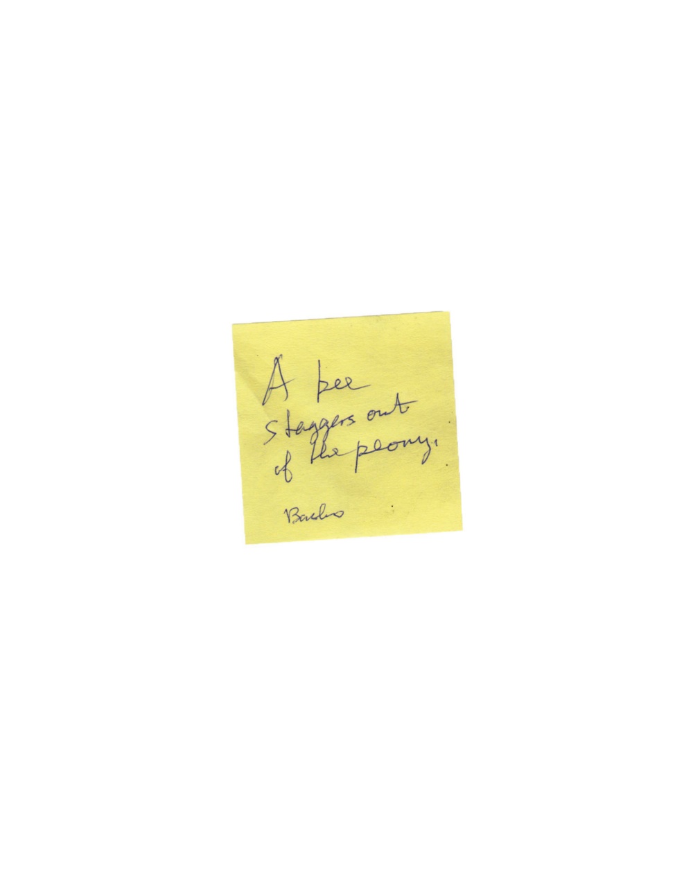 Adbusters Preview Pages