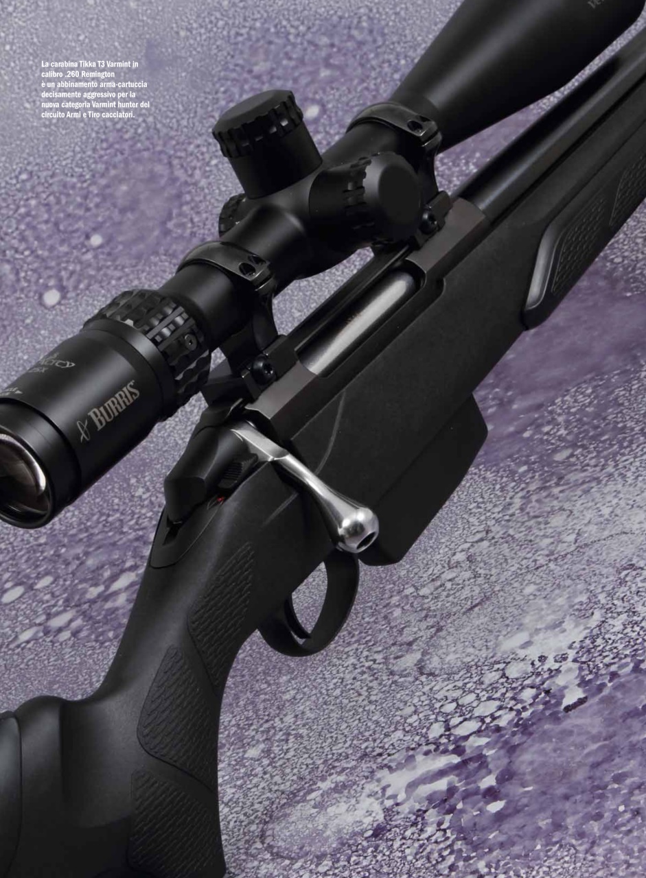 Armi E Tiro Preview Pages