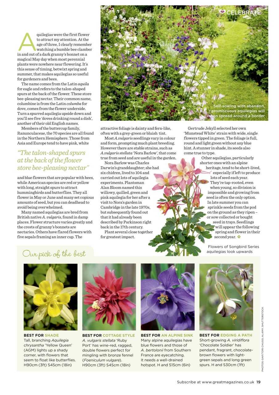 Garden Answers Preview Pages
