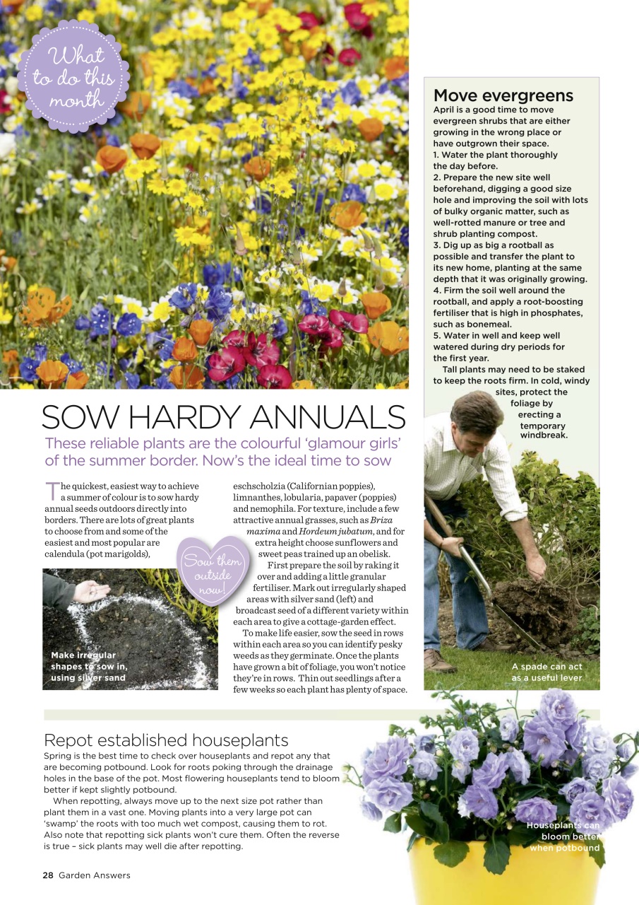 Garden Answers Preview Pages