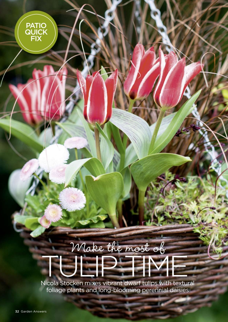 Garden Answers Preview Pages