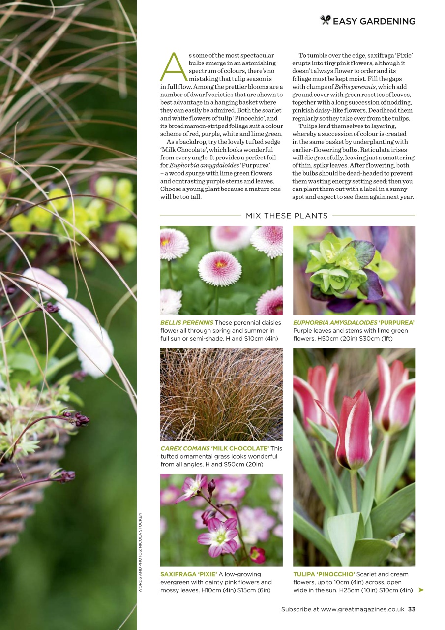 Garden Answers Preview Pages