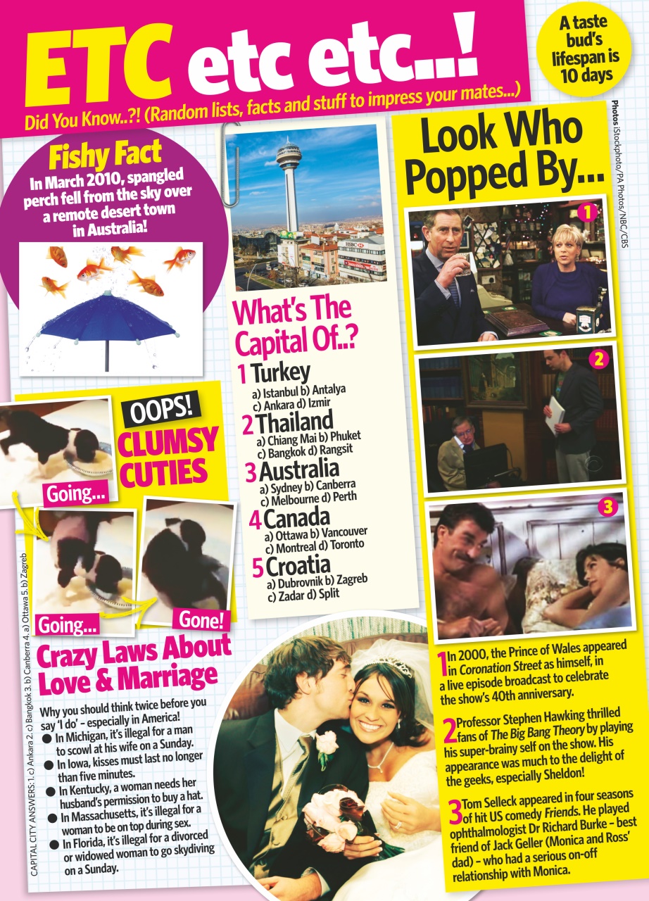 Pick Me Up Preview Pages