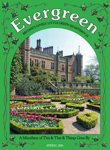 Evergreen issue Spring 2016