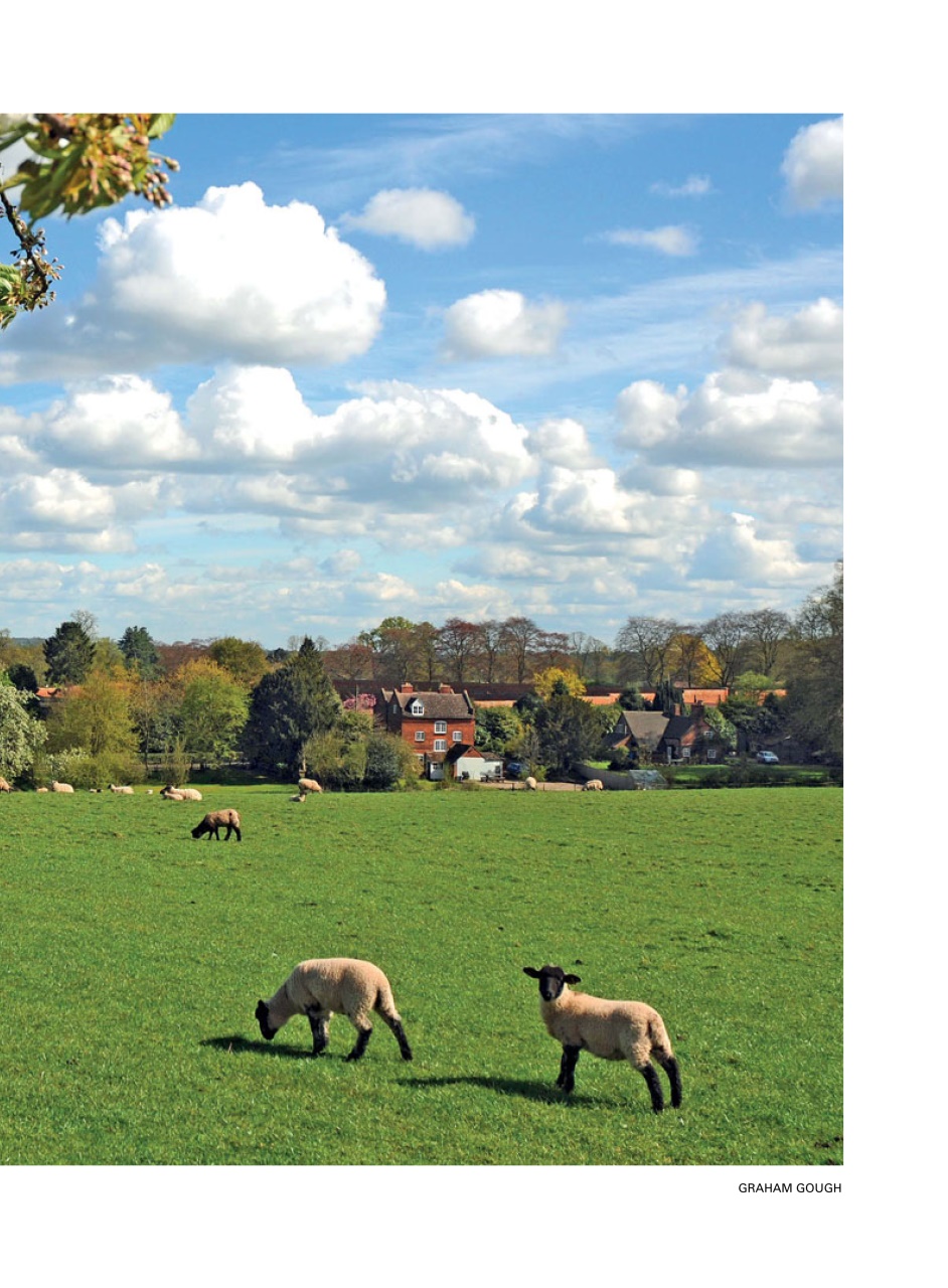 Evergreen Preview Pages