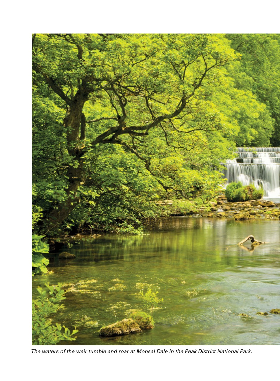 Evergreen Preview Pages