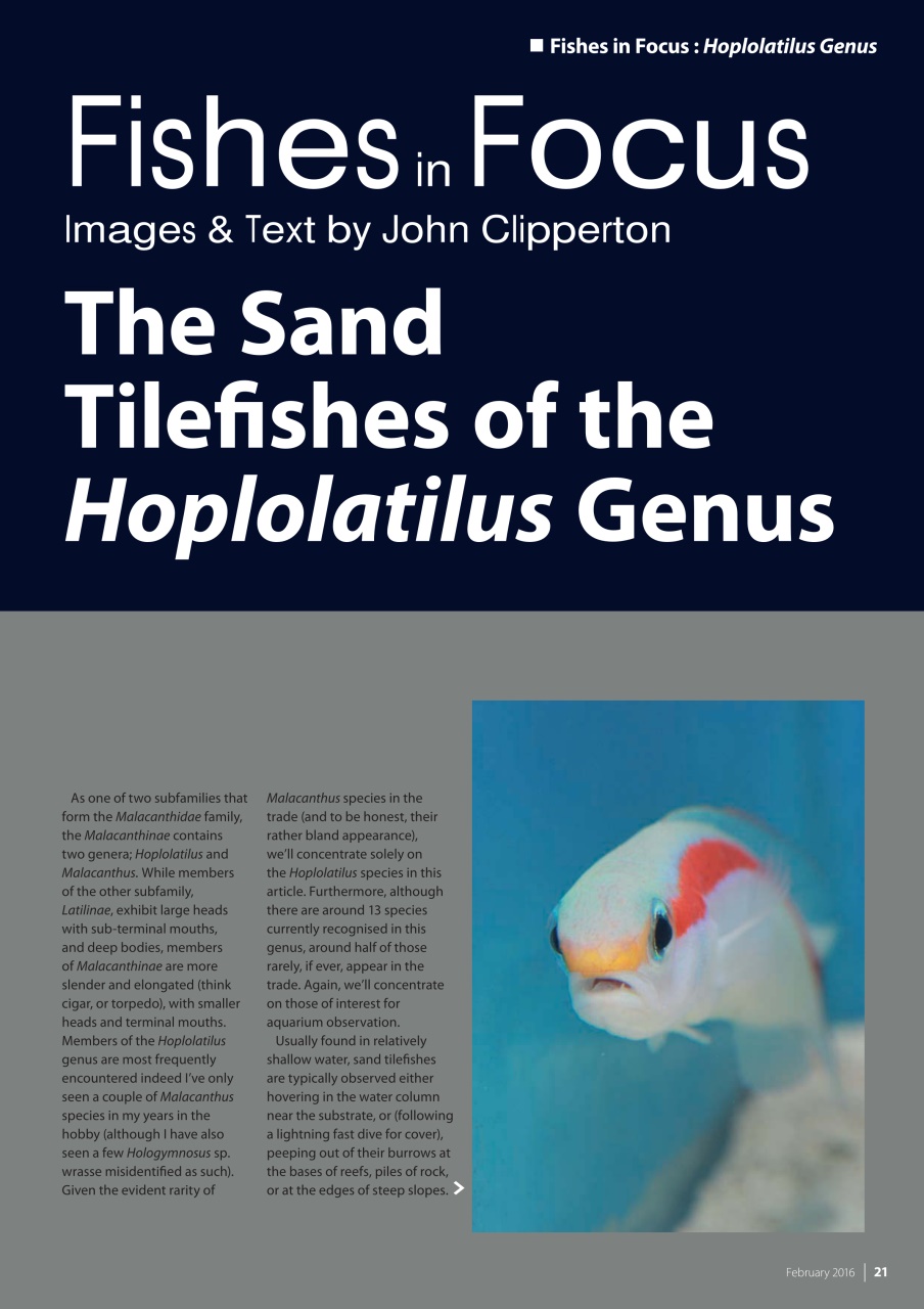 UltraMarine Magazine Preview Pages