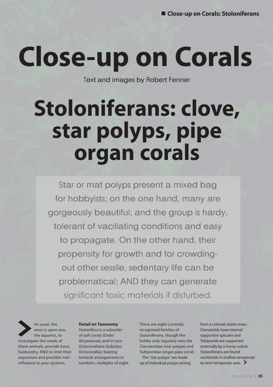 UltraMarine Magazine Preview Pages