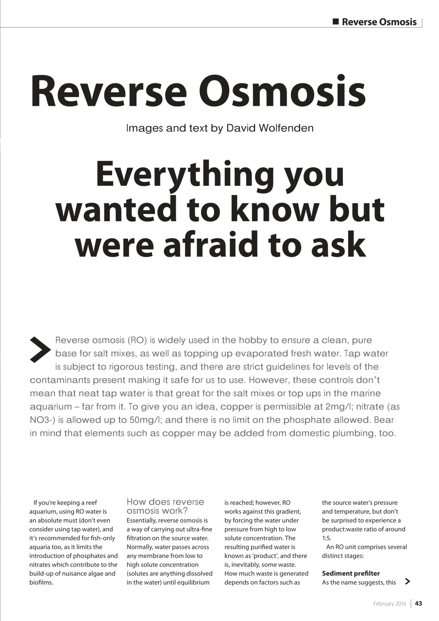 UltraMarine Magazine Preview Pages