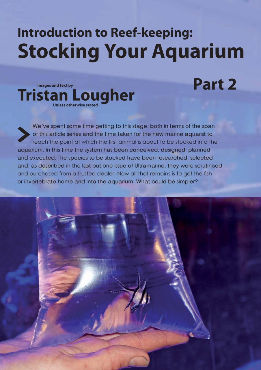 UltraMarine Magazine Preview Pages