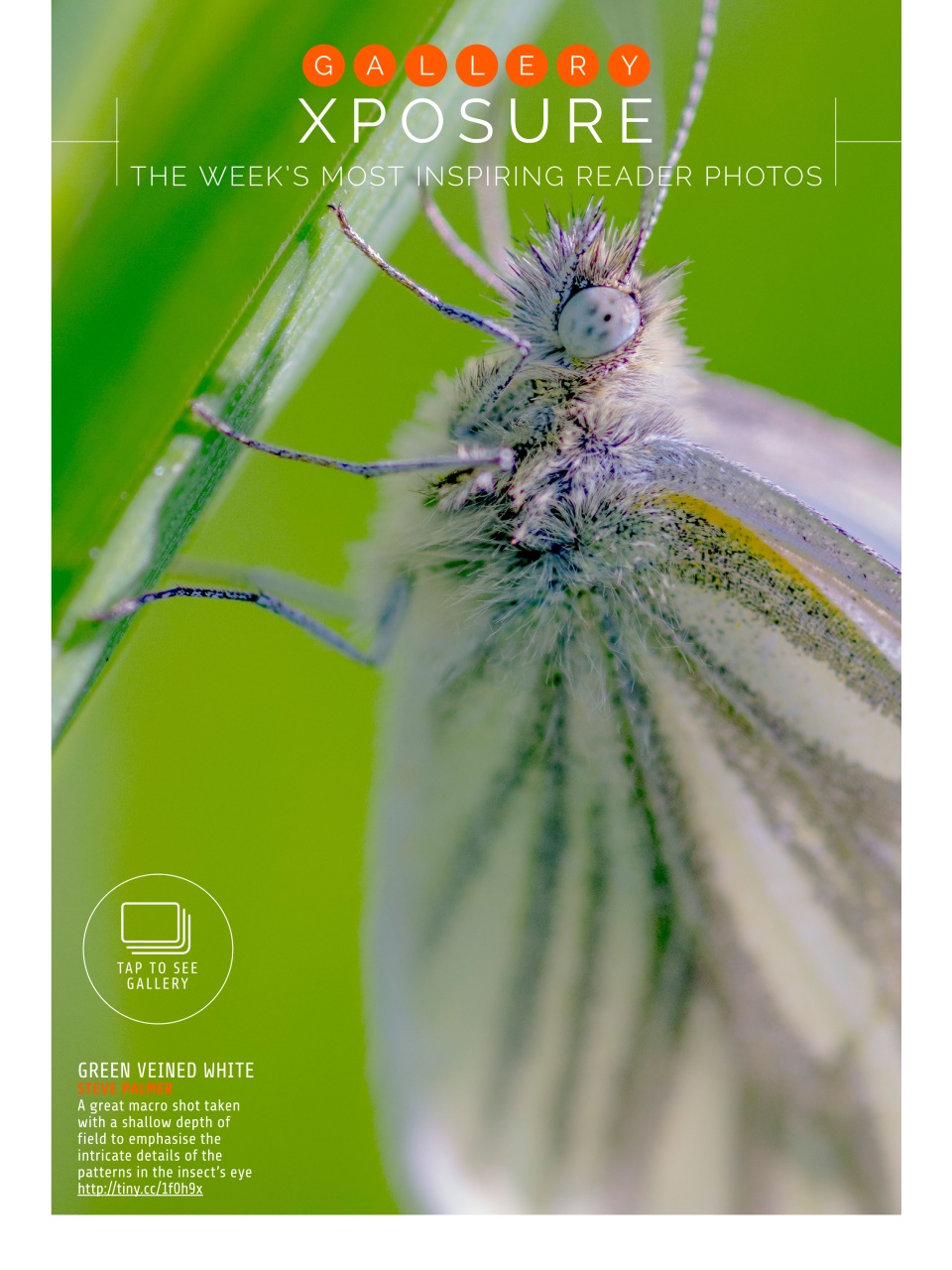 Photography Week Preview Pages