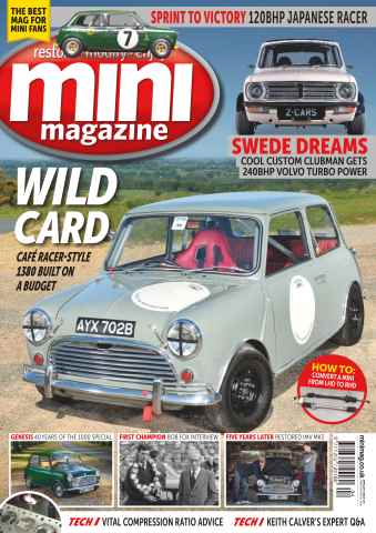 Mini Magazine issue No. 249 Wild Card