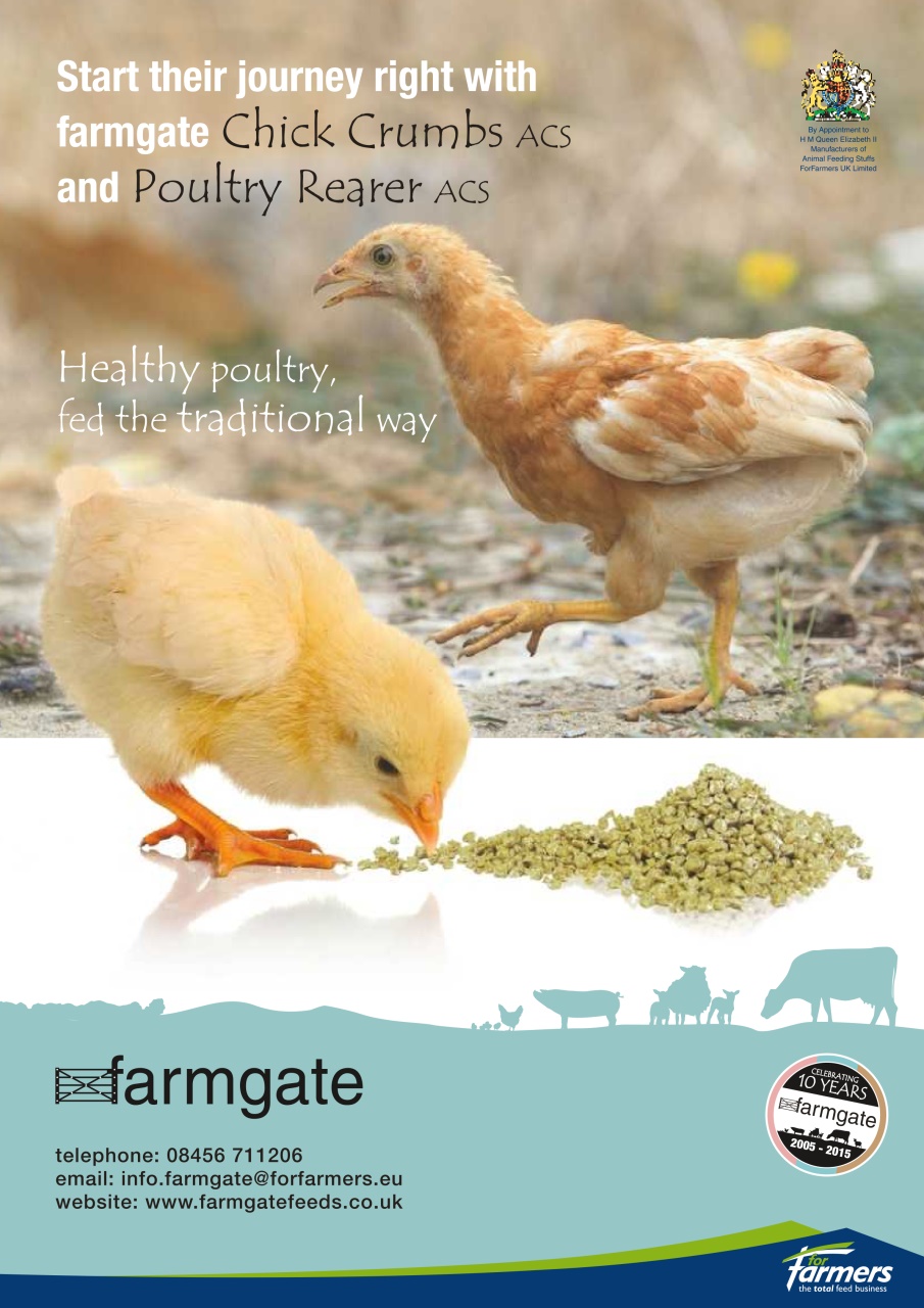 Practical Poultry Preview Pages