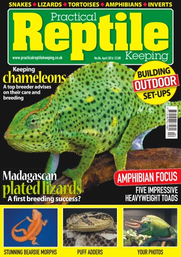 Practical Reptile Keeping issue 
